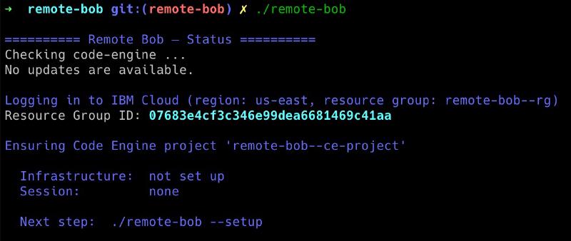 Status output showing IBM Cloud login and initial setup