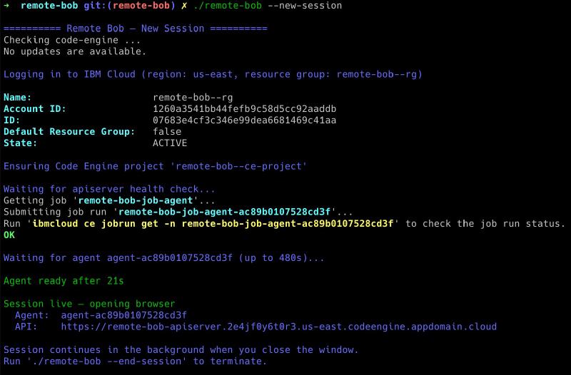 &ndash;new-session output: job submitted, agent ready after 21s, browser opening
