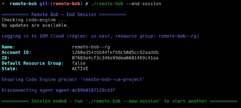 &ndash;connect output: live session found, browser opening