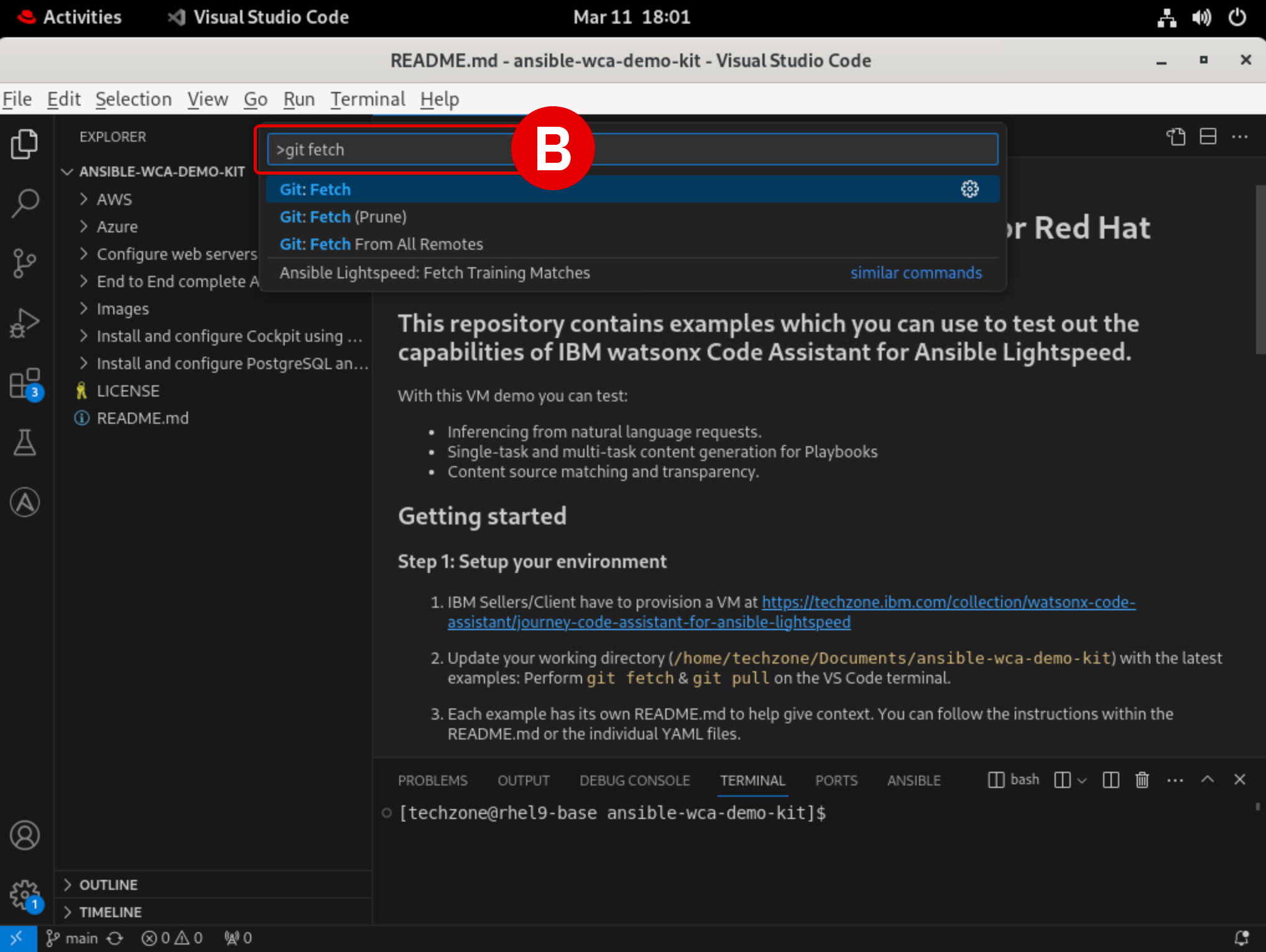 Setup and Troubleshooting - IBM watsonx Code Assistant for Red Hat ...