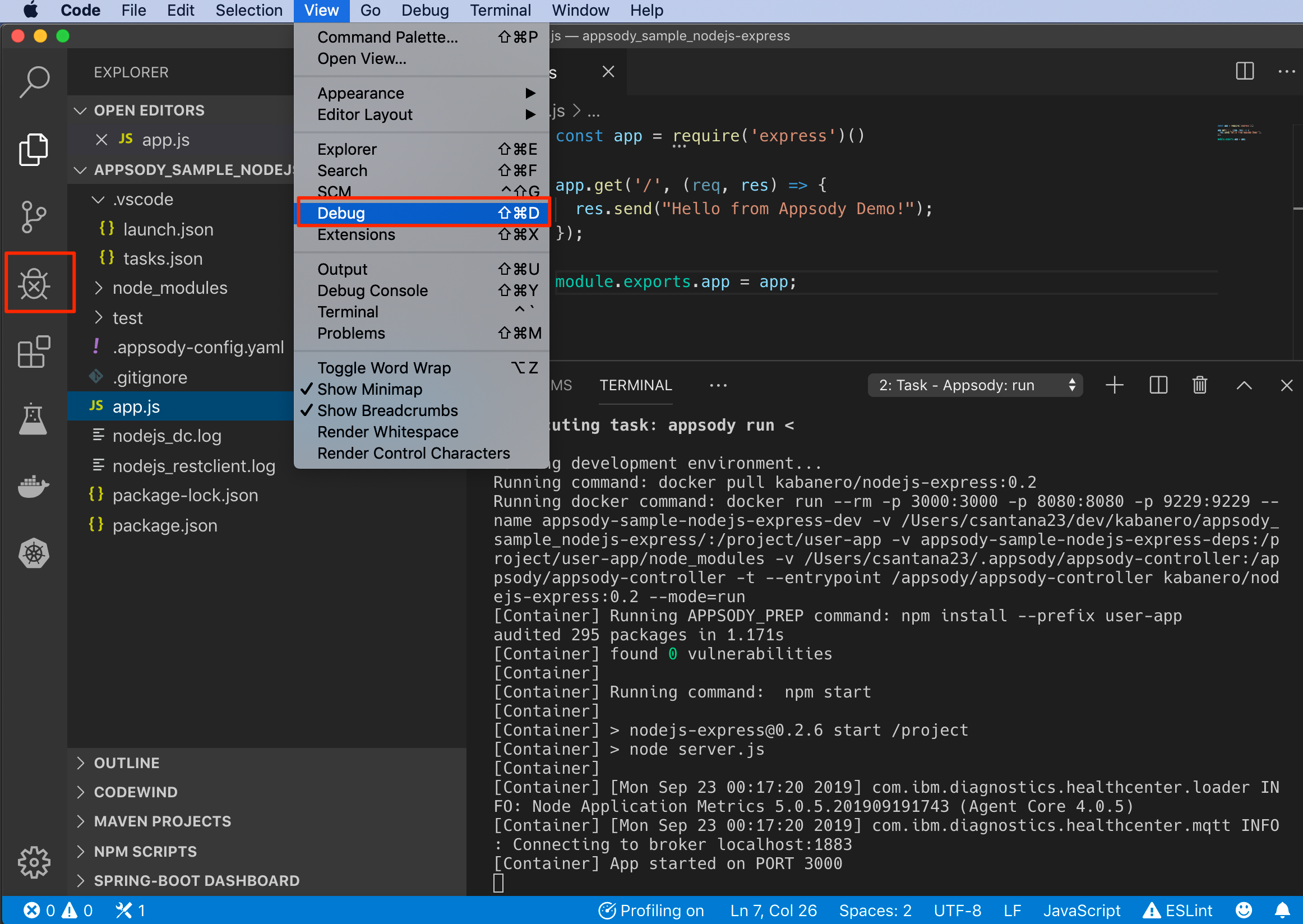 Open the embedded debugger