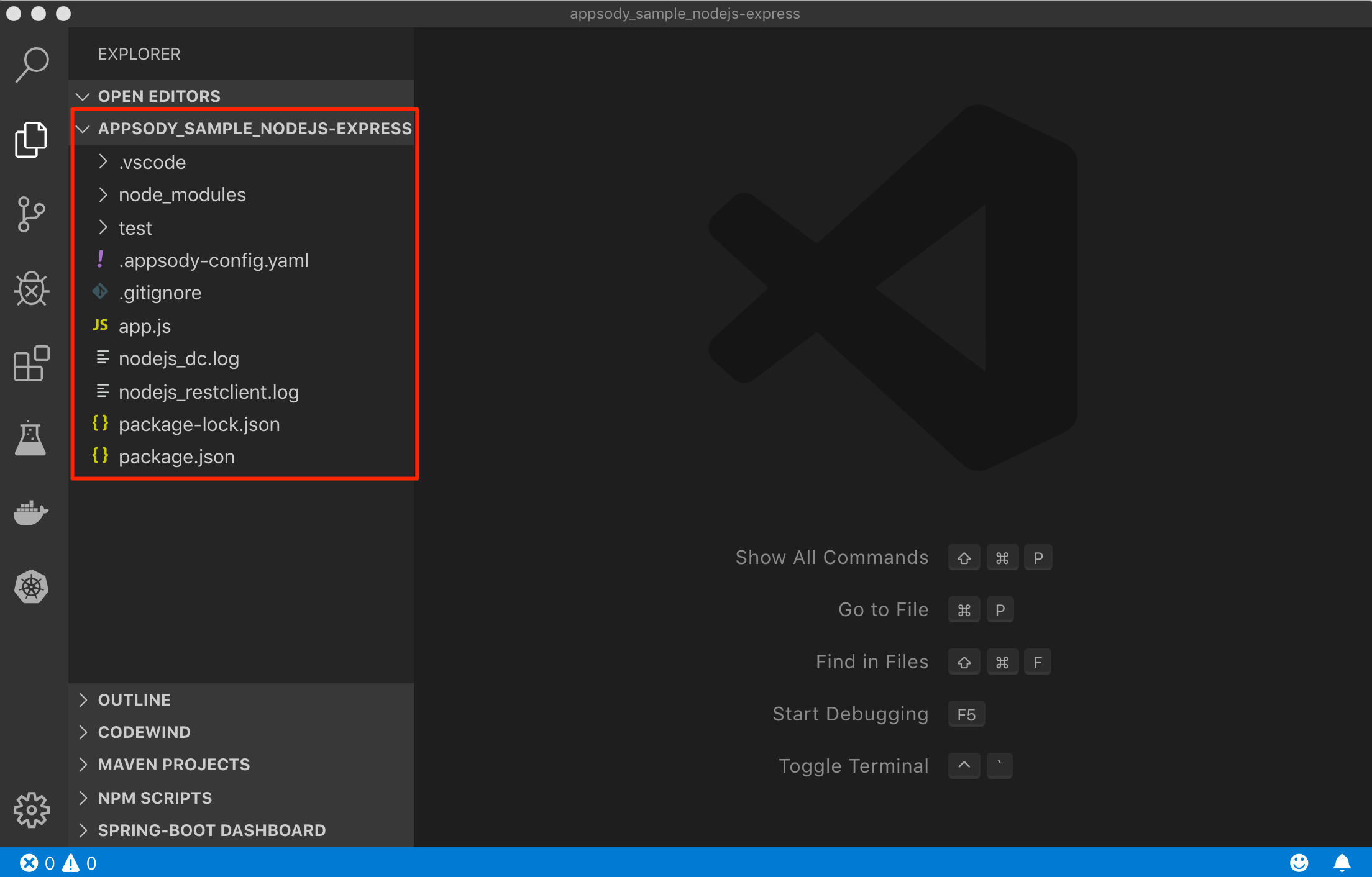 Initialized Appsody code