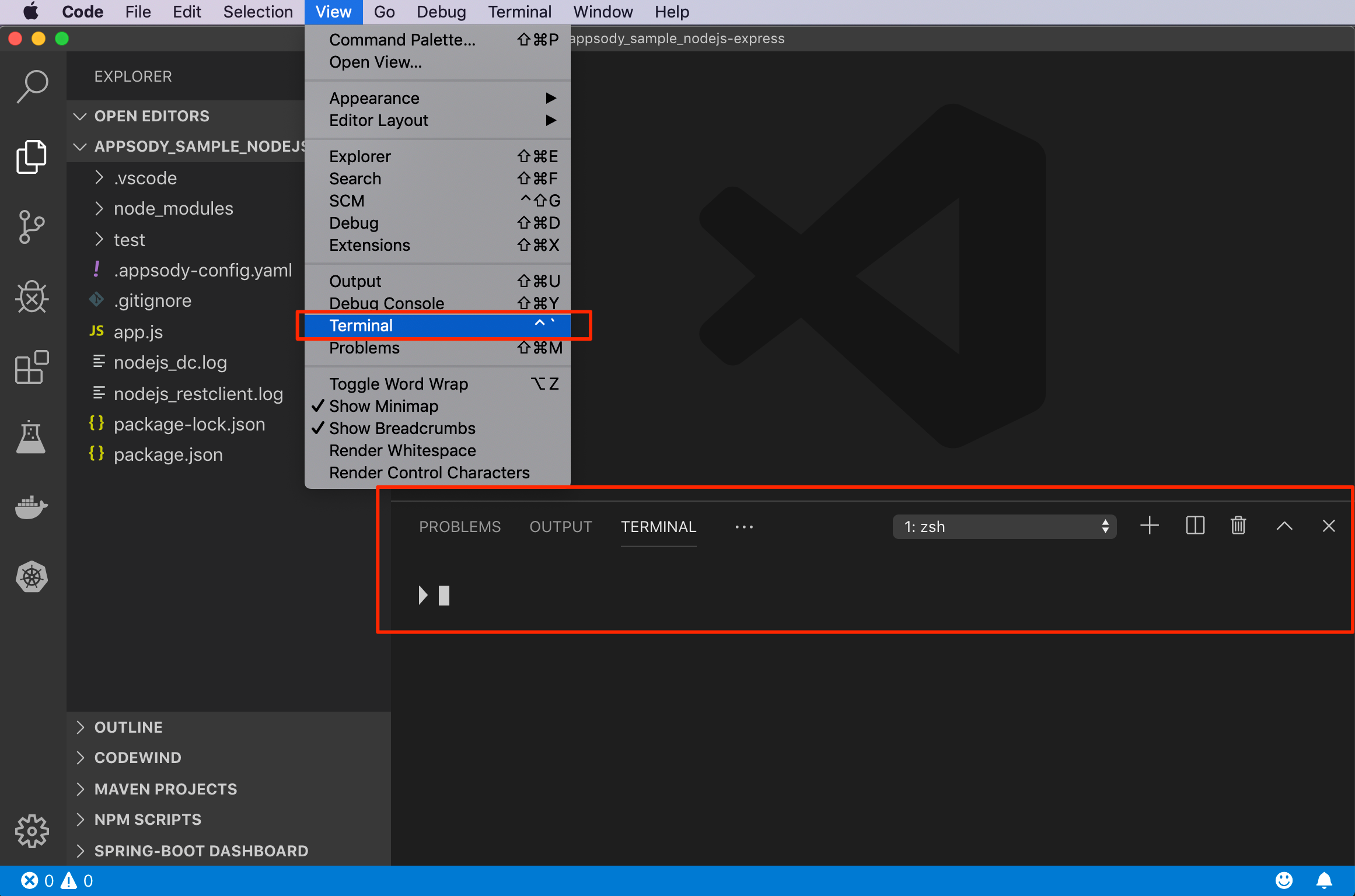 Open the embedded terminal