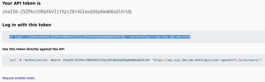 Copy the Token