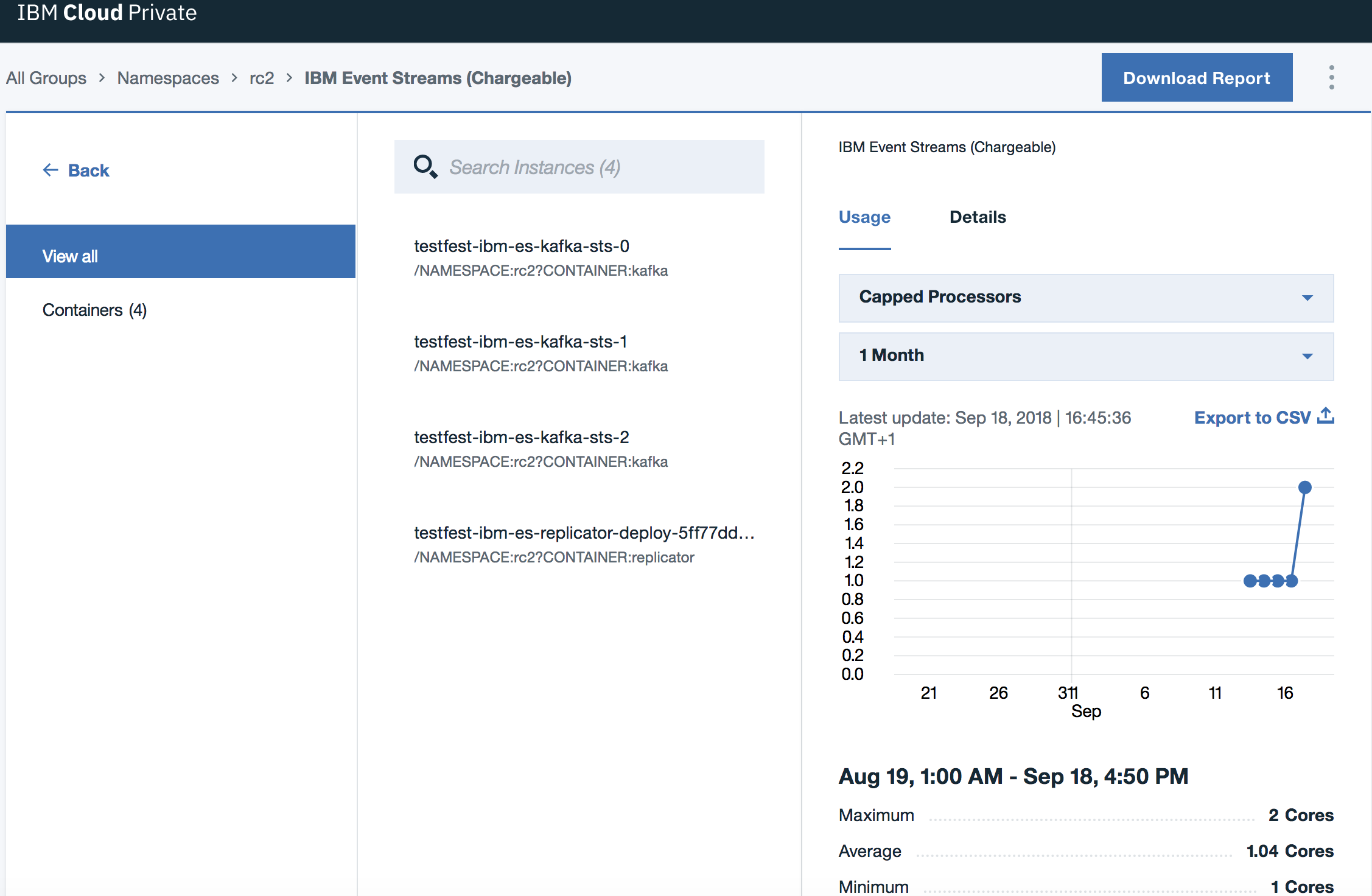 Screen capture of page showing information about chargeable containers for the selected Event Streams deployment. The page is displayed to provide an example from where you can download a metrics report. Chargeable containers page