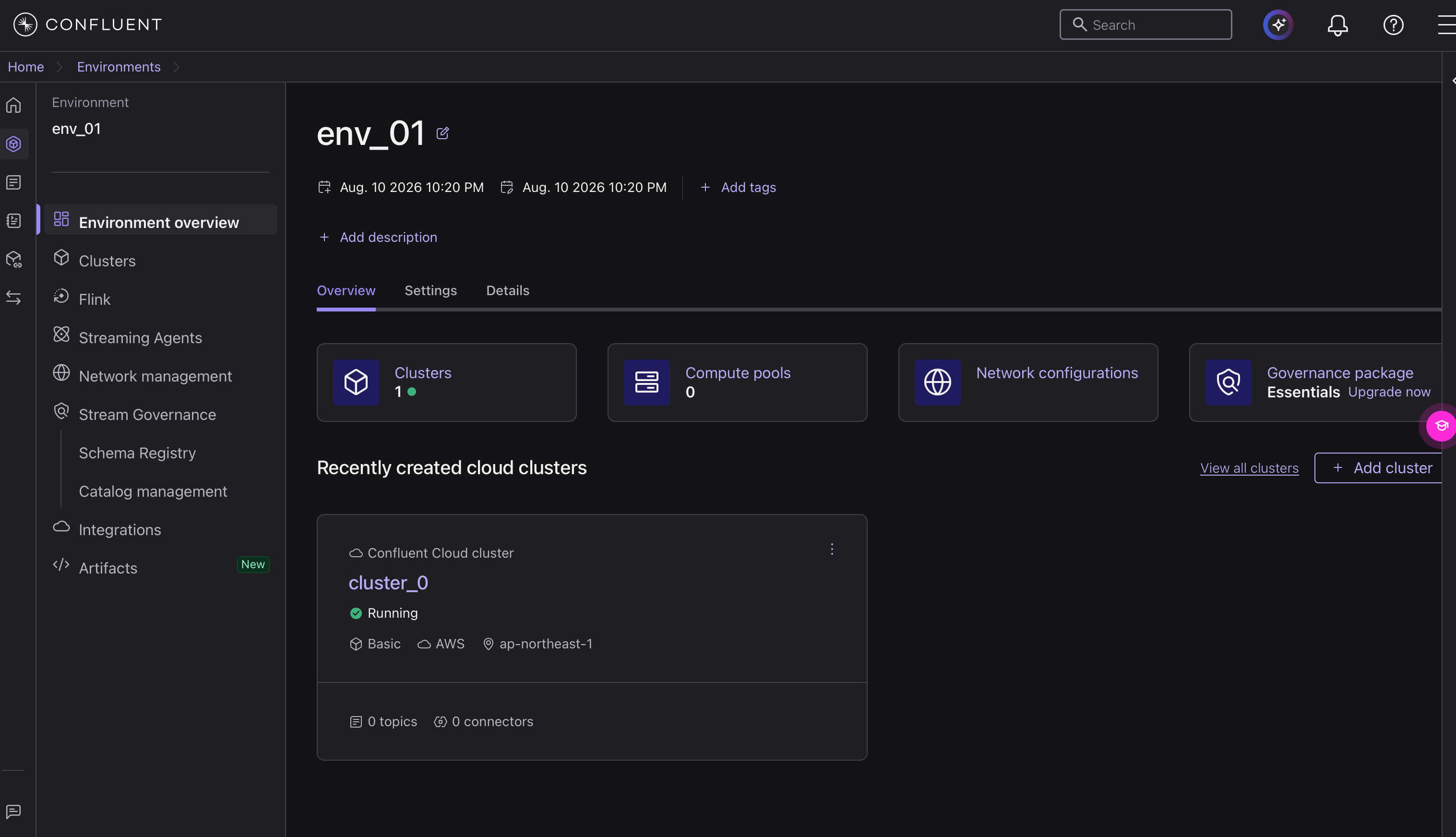 env_01 の Environment overview。Governance package タイルに Essentials と Upgrade now が表示される