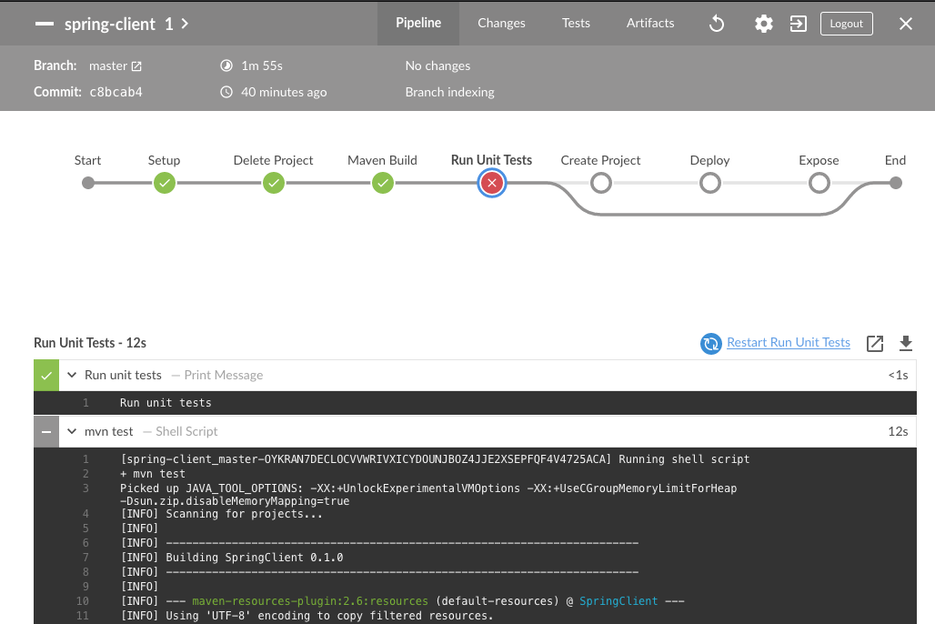 Jenkins Successful Build