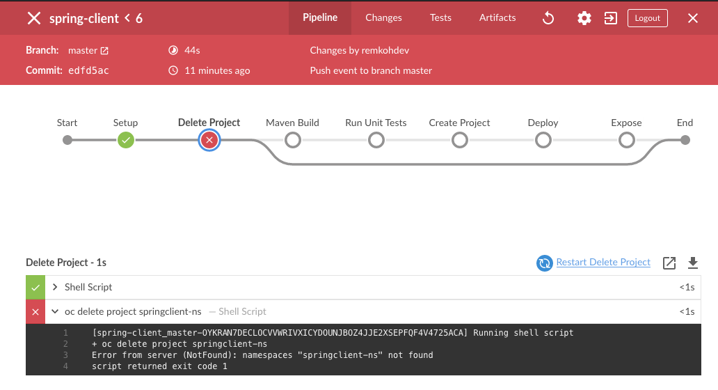 Jenkins Successful Build