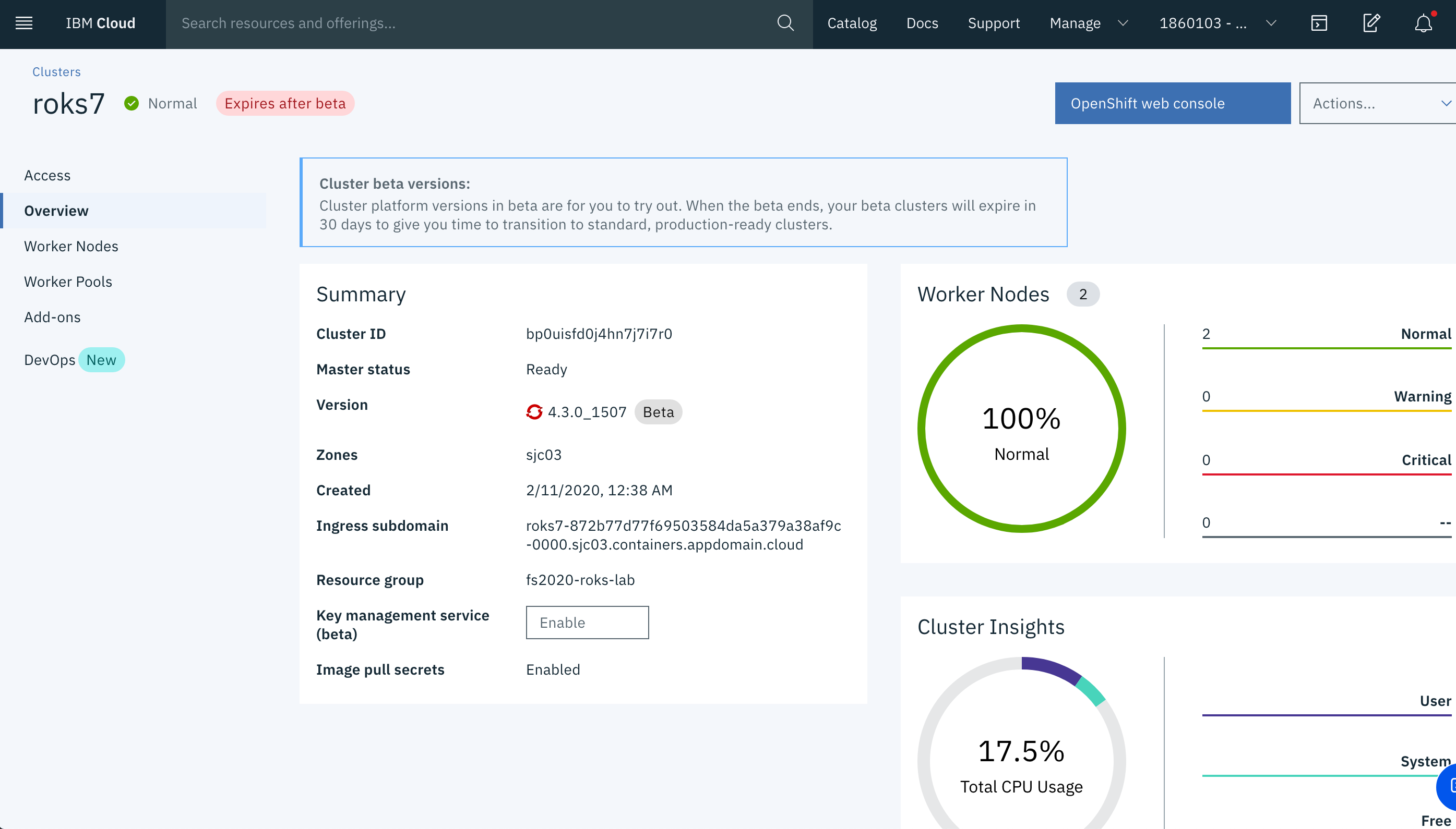 Launch the OpenShift web console