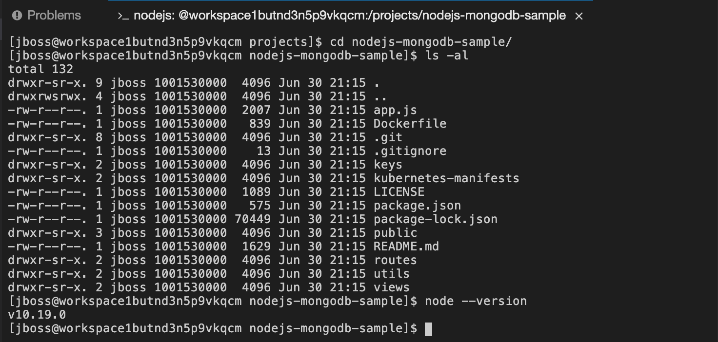 CodeReady Runtime Terminal