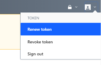 Renew Vault Token