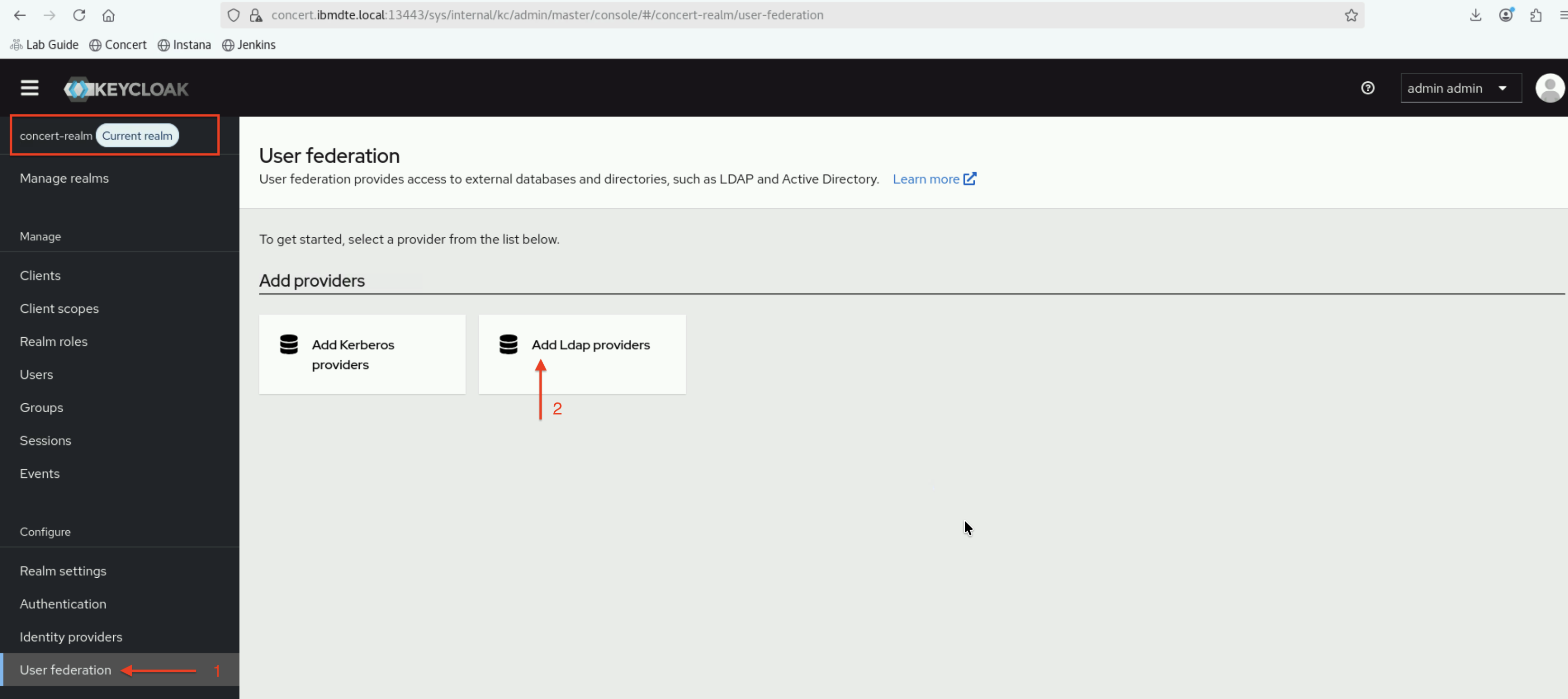 Add LDAP Provider