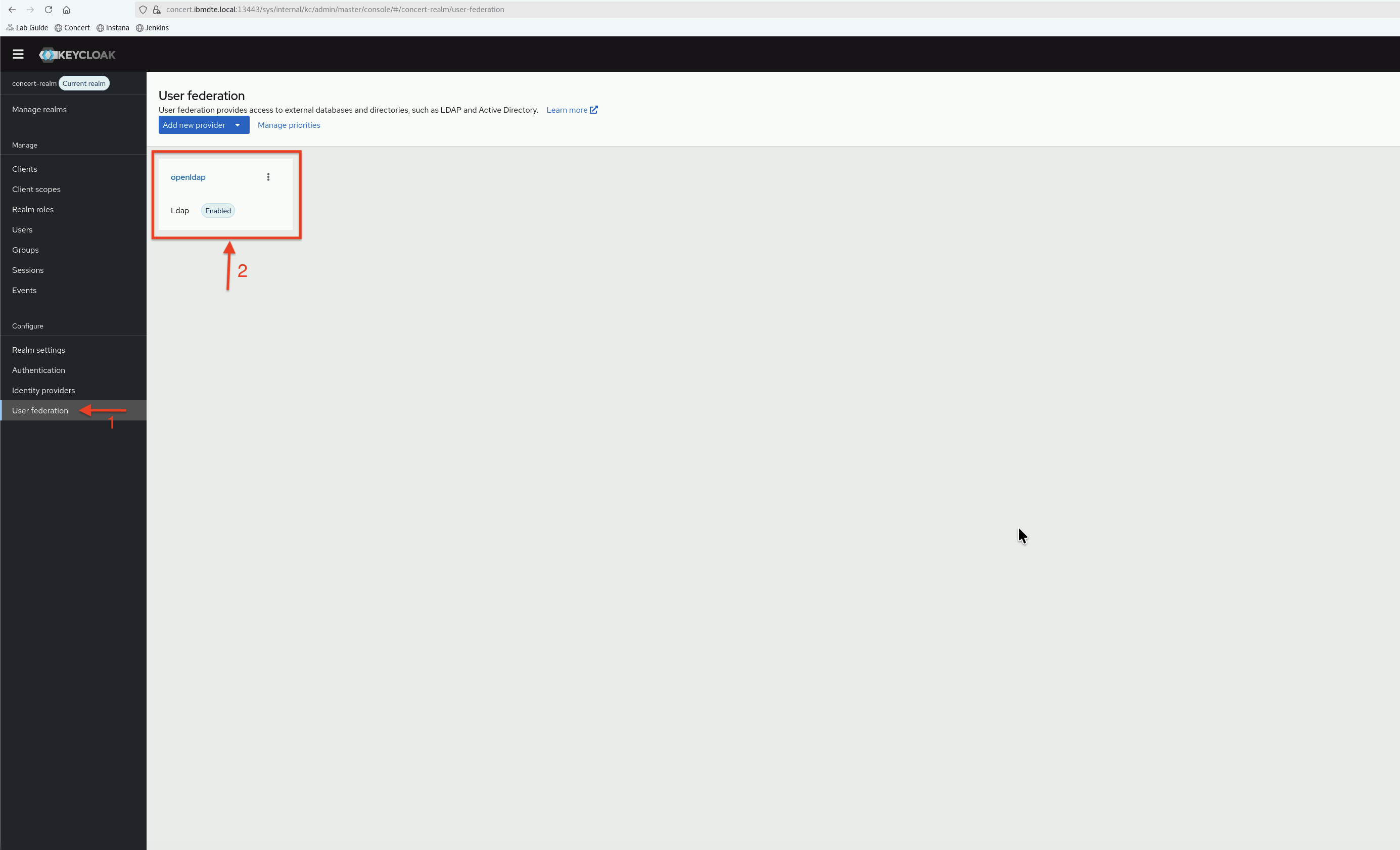 UserFed OpenLDAP