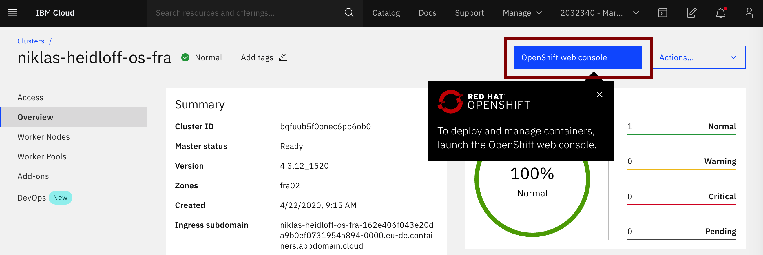 Open the OpenShift web console